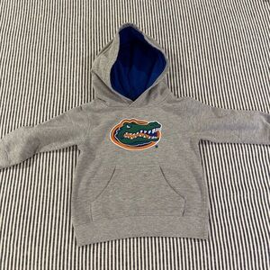 Gildan Gray and Blue Florida Gators Hoodie